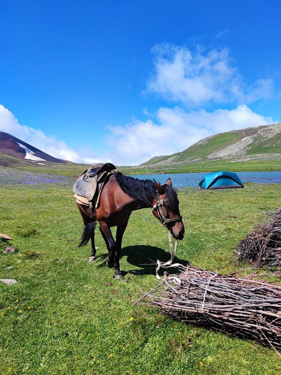 Highland Hostel エレバン エクステリア 写真