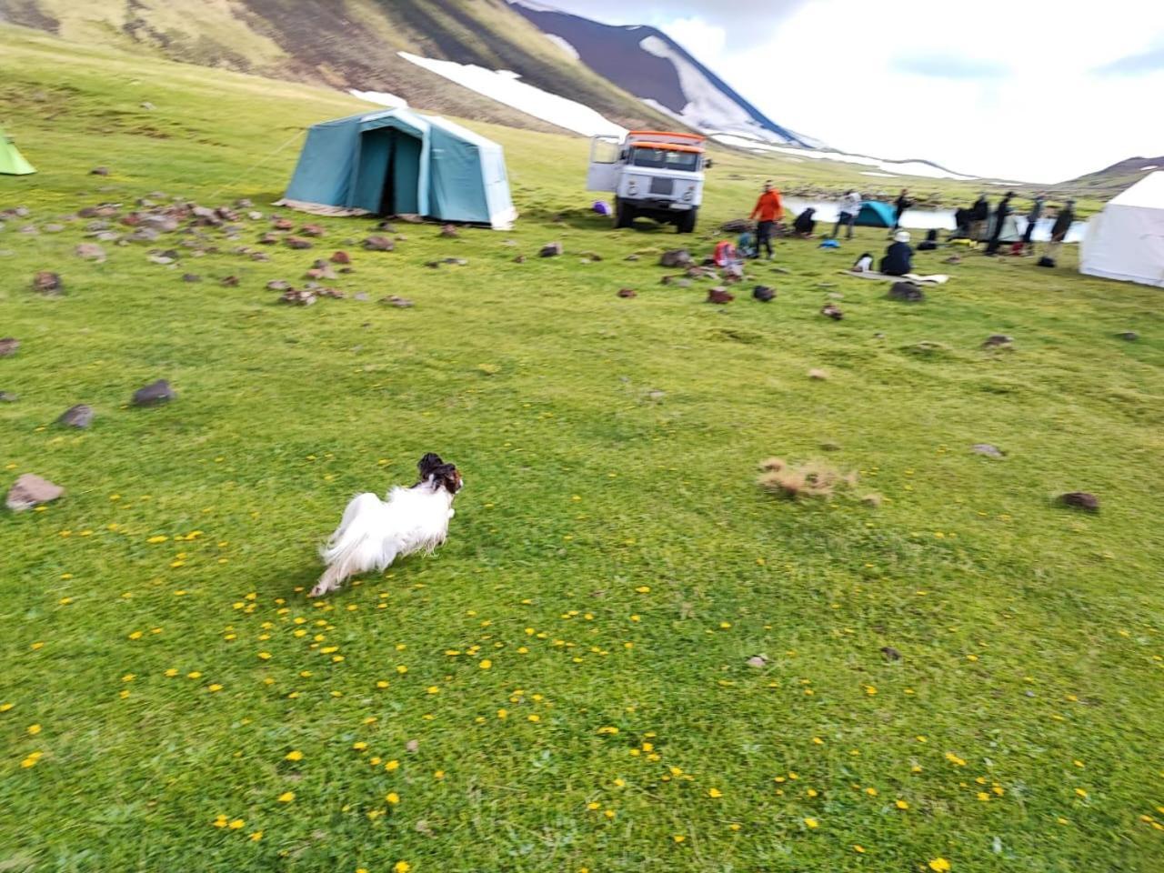 Highland Hostel エレバン エクステリア 写真