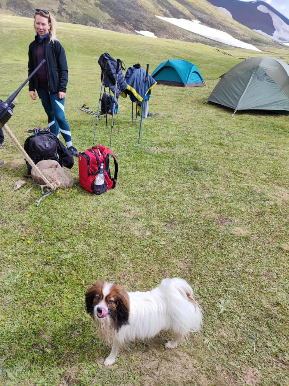 Highland Hostel エレバン エクステリア 写真